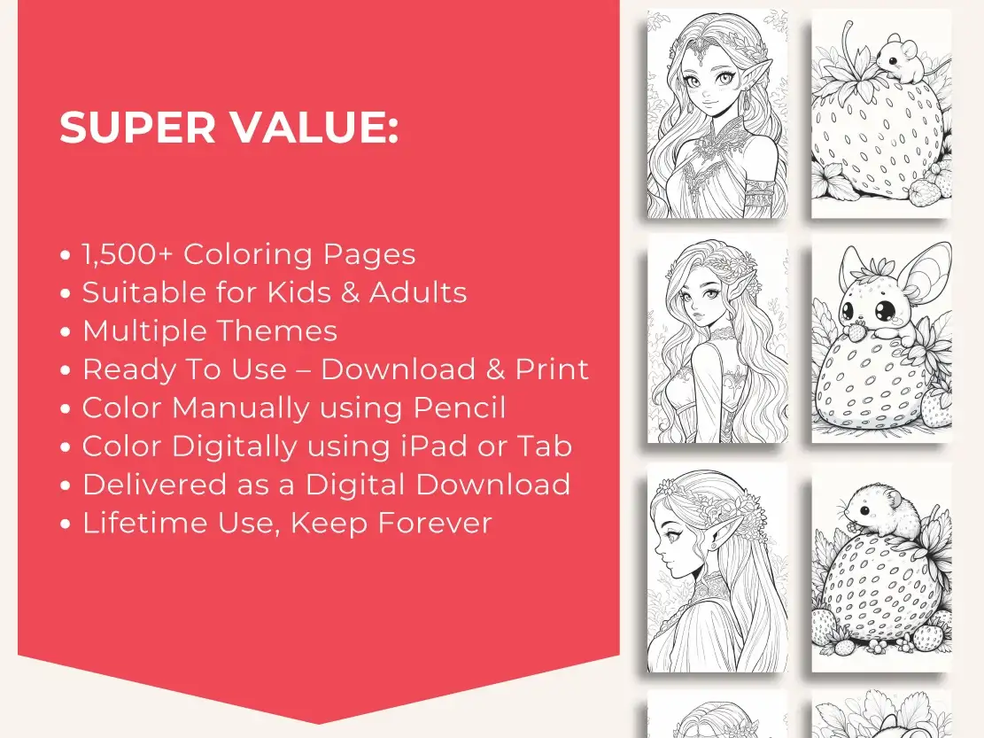 (Set 2) Kiddocolor - Image 4